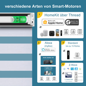 SmartWings Smart Zebra Doppelrollos elektrisch 60% lichtdurchlässig 75mm Eloise